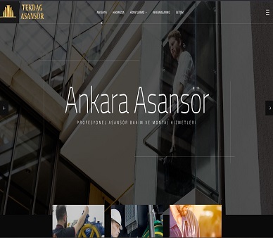 ankaraasansorfirmasi.com